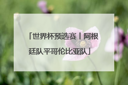 世界杯预选赛丨阿根廷队平哥伦比亚队
